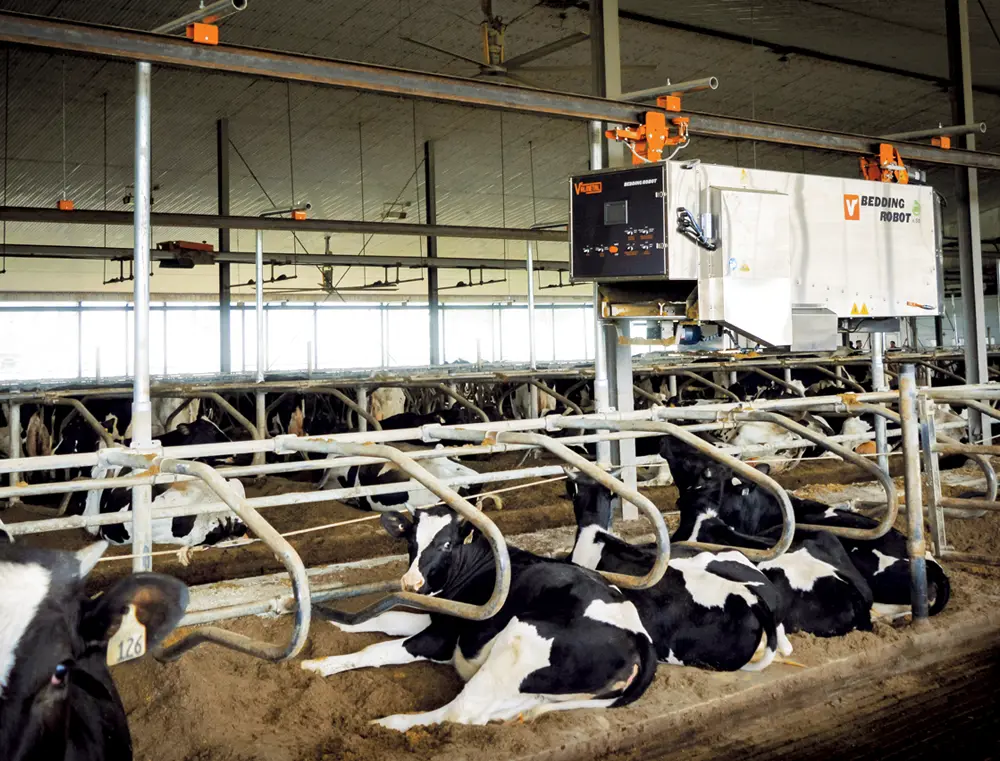 The perfect complement