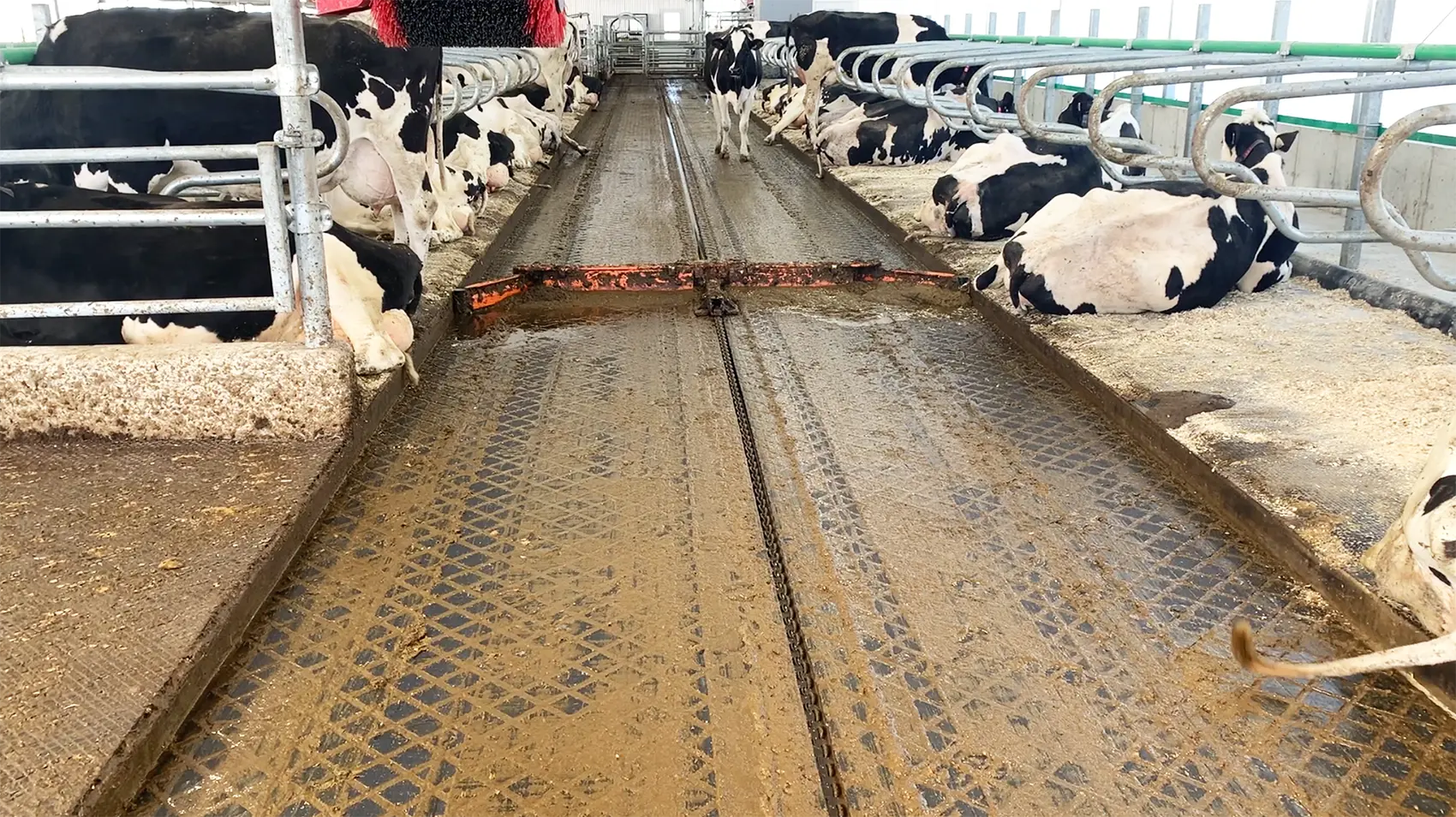 Smart cleaning solution