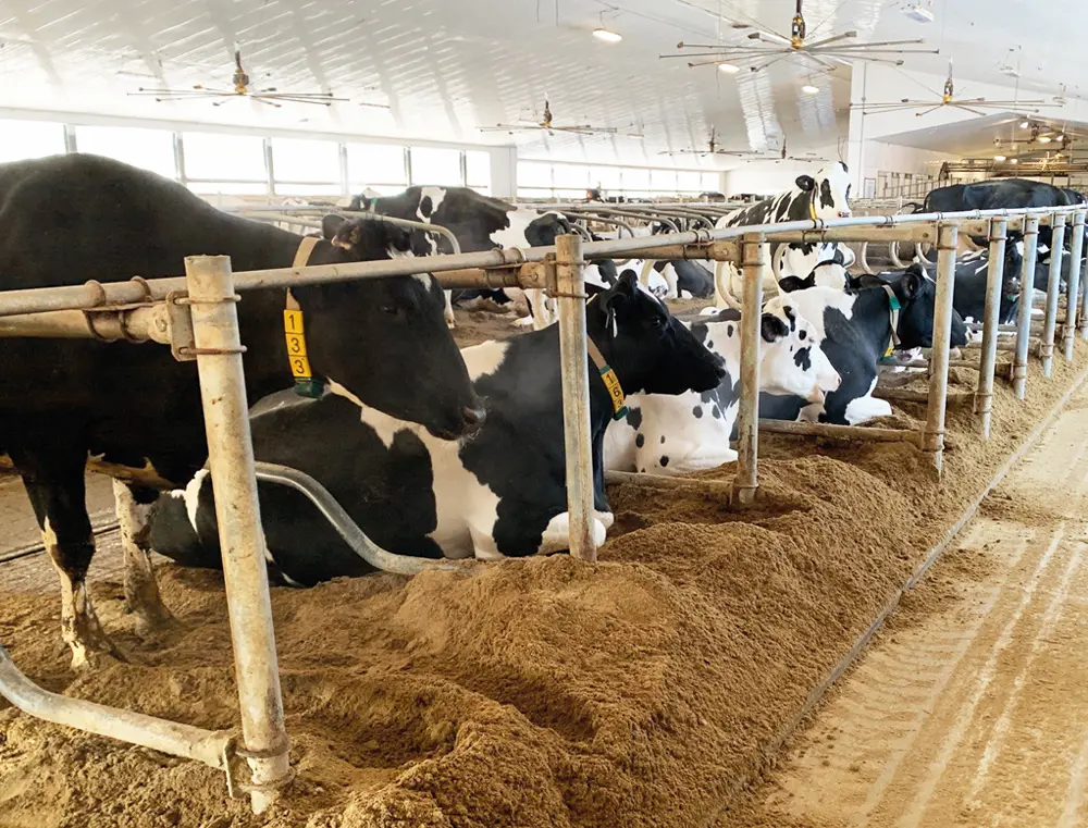 An economical, ecological  and safe solution