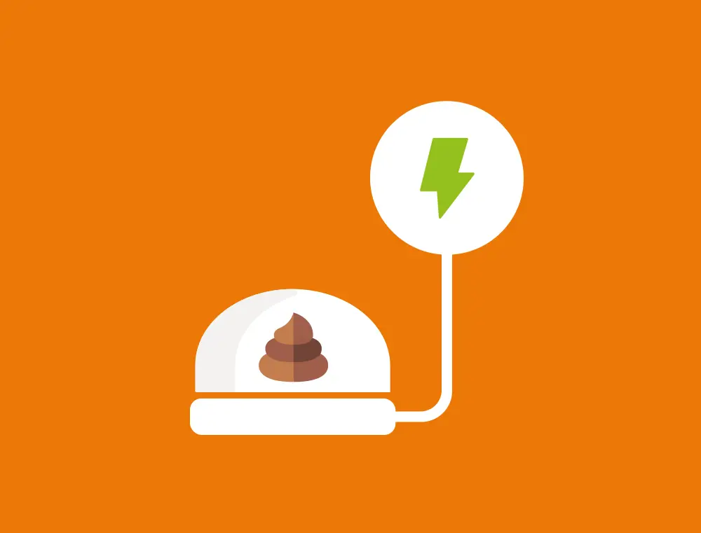 The energy of the future