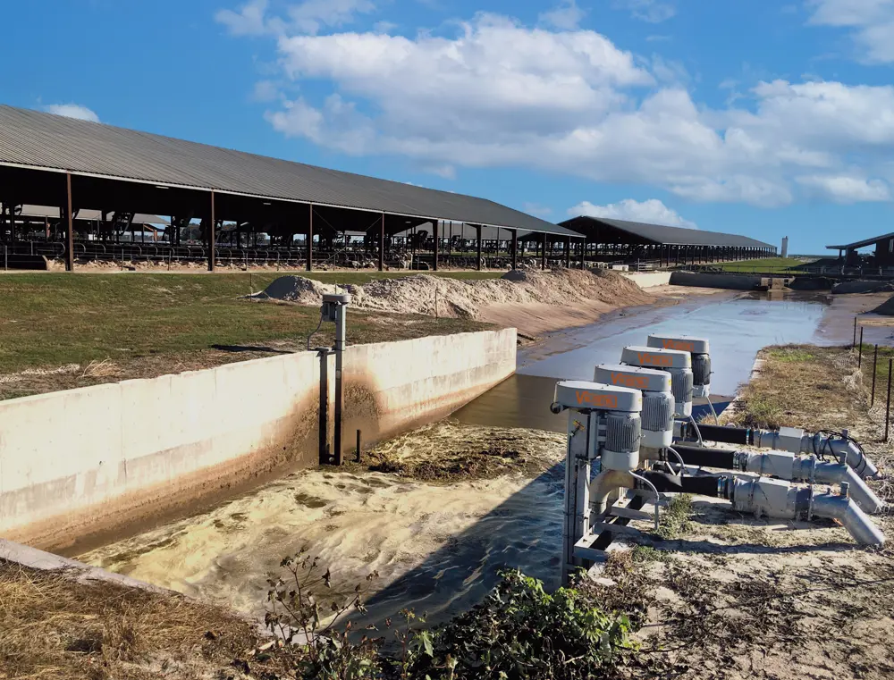 Real-world experience