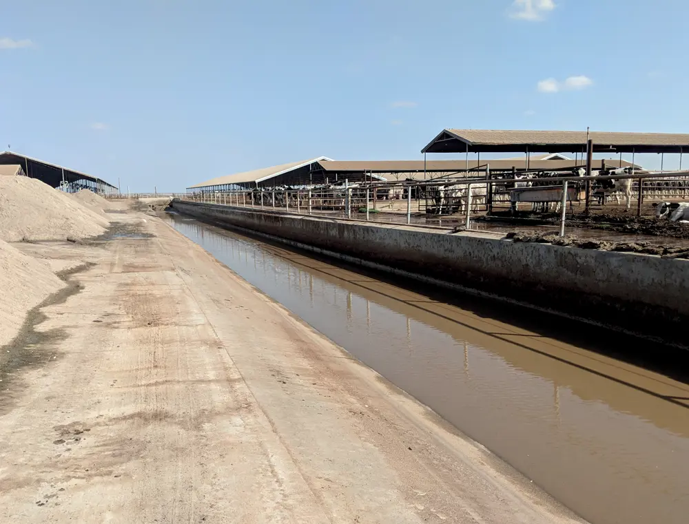 Solution to dry down separated solids