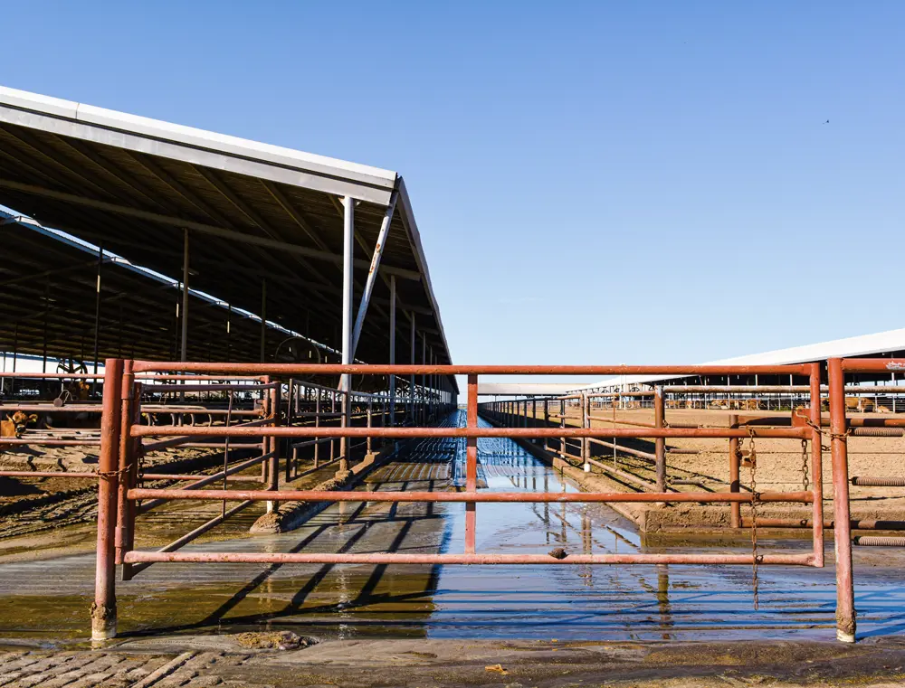 A ton of possibilities