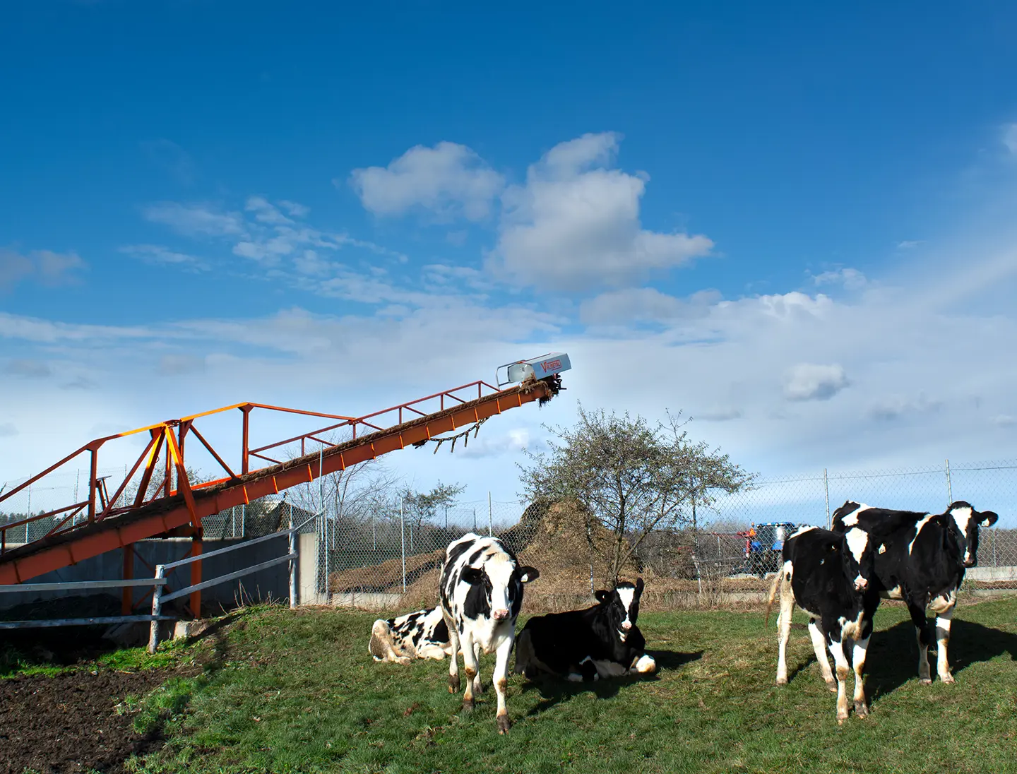 Manure elevator ramps