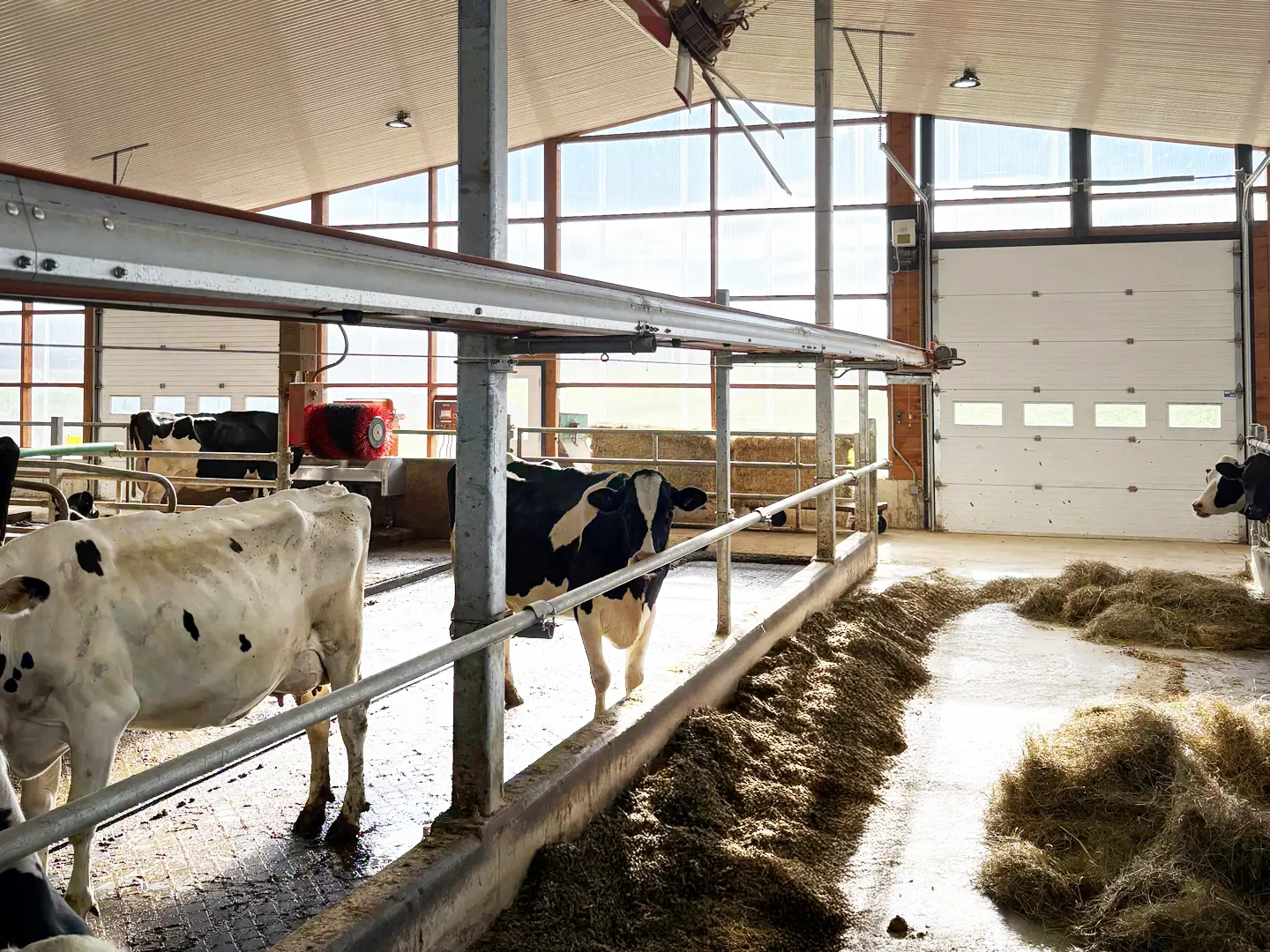 Amilait Farm’s Smart Bet: Work Less, Produce More