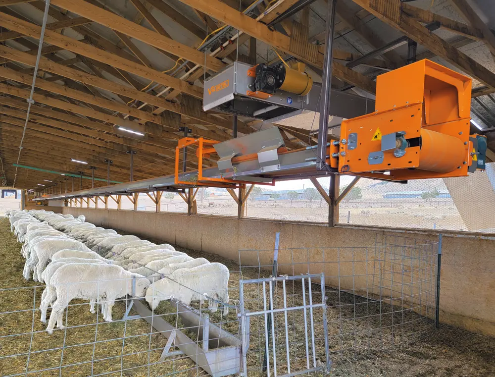 Custom automated feeding solutions
