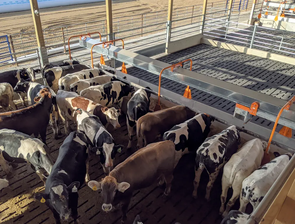 Easy-to-install hangers brackets