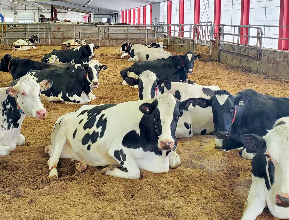 An overview of the separation cycle