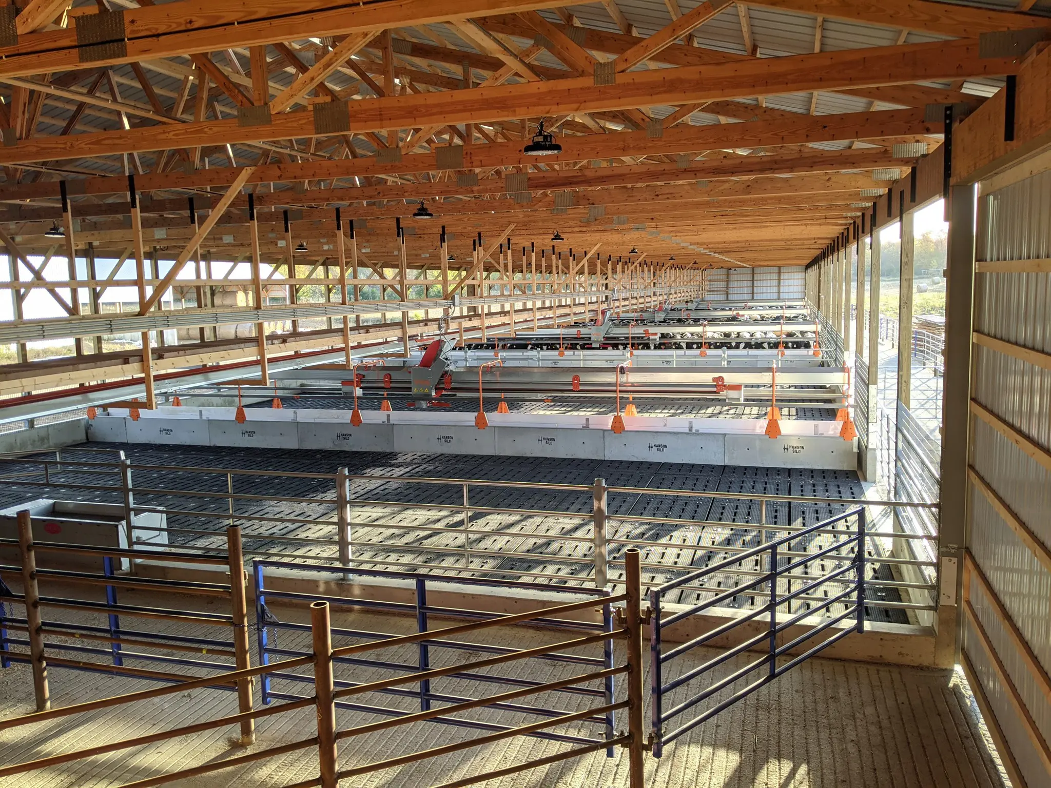 Time saving at Brandon Dingmann Steer Barn