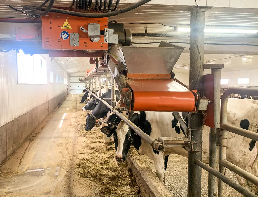 Standard conveyor - Village Farm