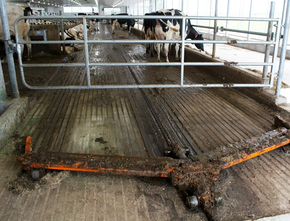 Dura-Chain XL scraper - Belhorizon Farm