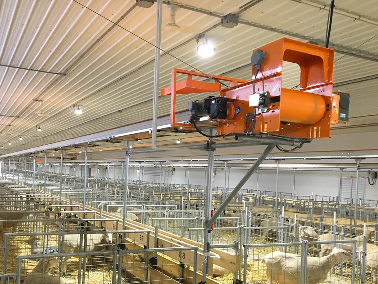 Standard conveyor