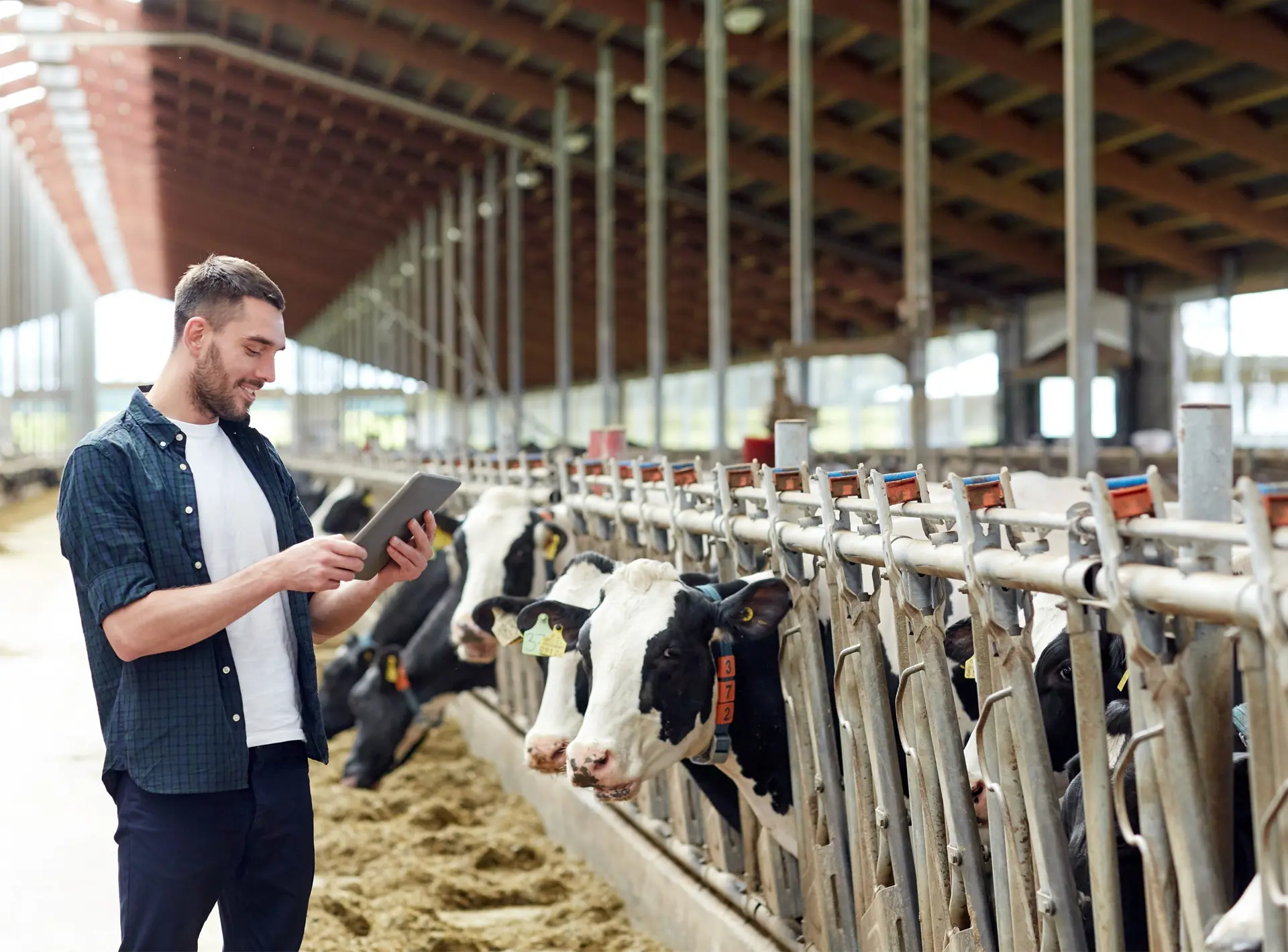 Have a project in mind?